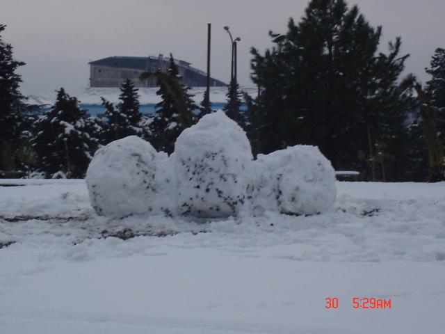 DSC_017.jpg