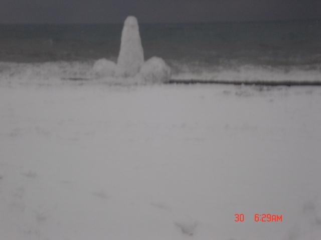 DSC_028.jpg