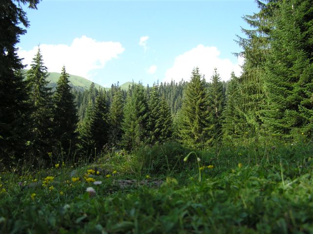 P7280214.JPG