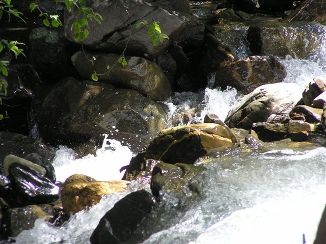P7260149.JPG