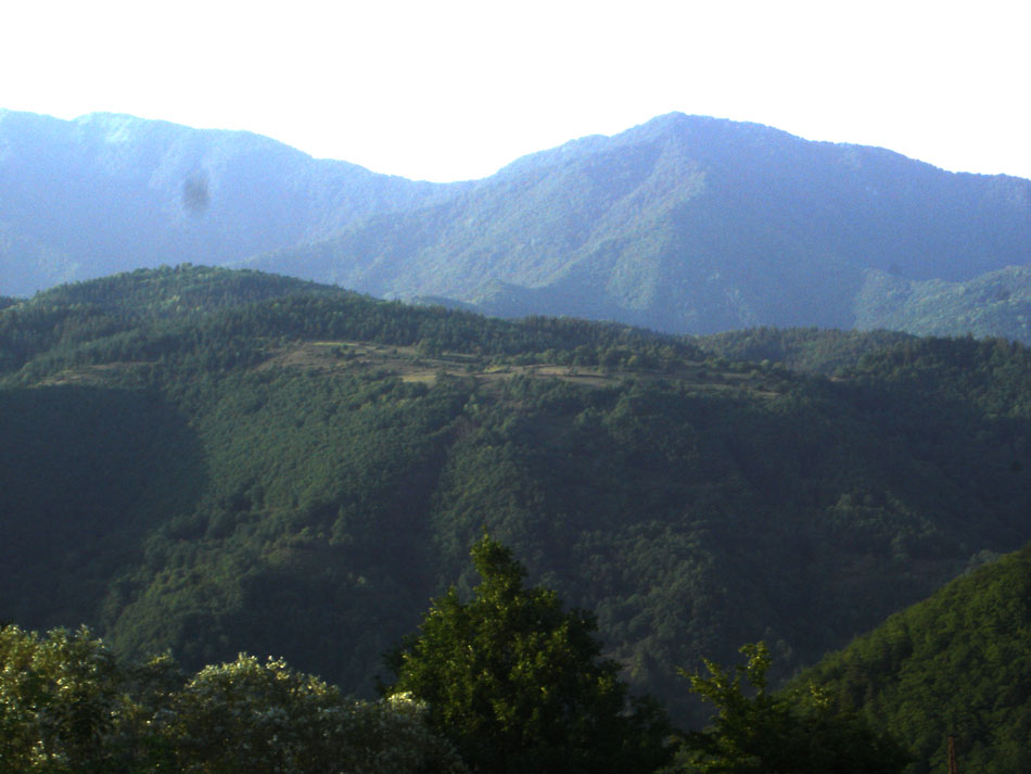 DSC07999.jpg