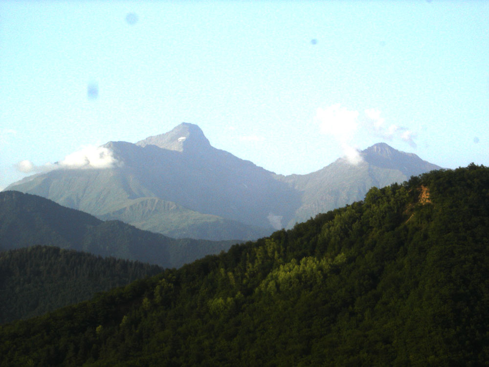 DSC08004.jpg