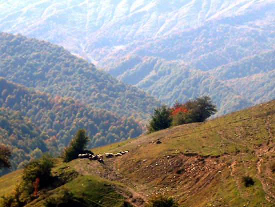 mtebi1.jpg