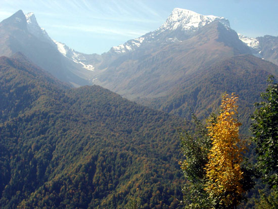 mtebi2.jpg