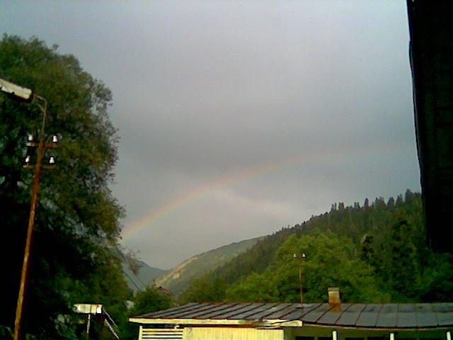 Image001.jpg