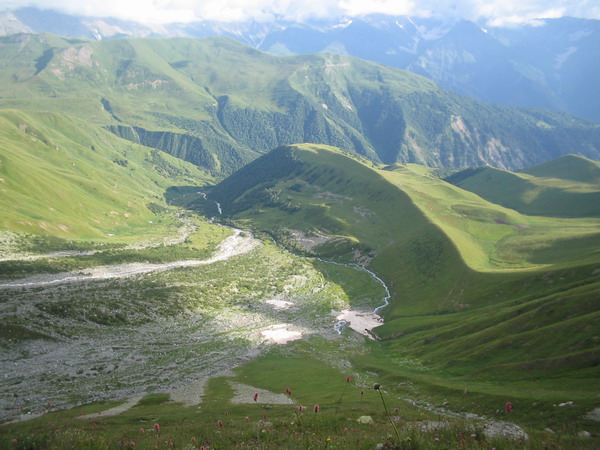 IMG_0094.jpg