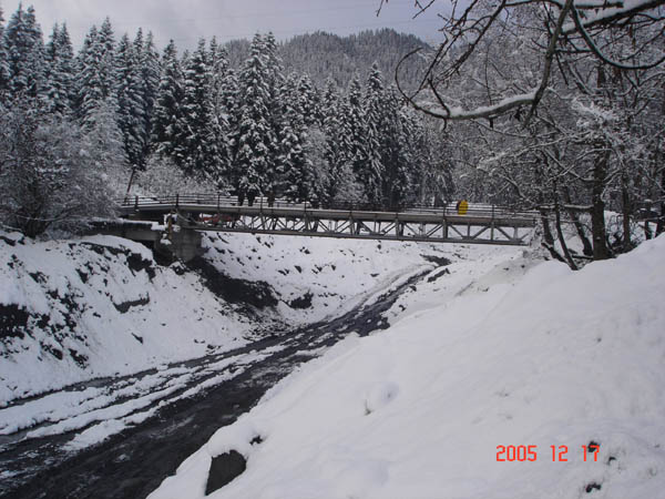 DSC006f02.jpg