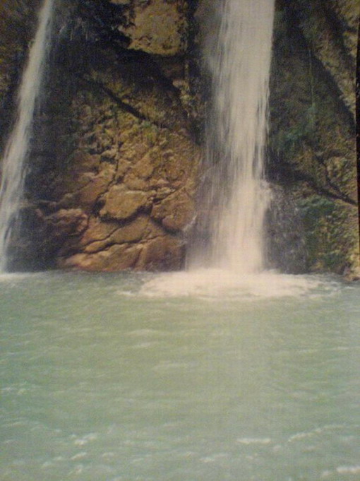 DSC00235.jpg