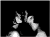 zas.gif
