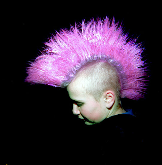 punk_1_.jpg