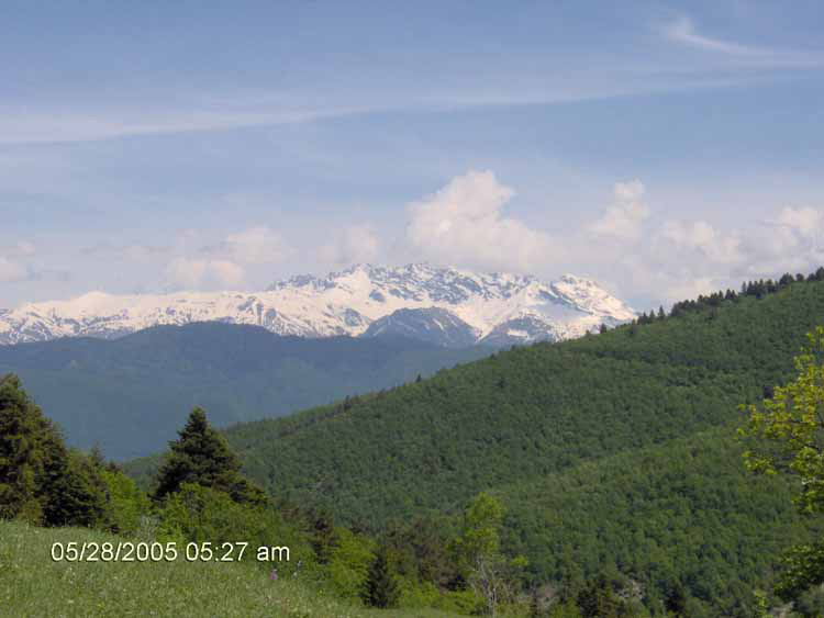 IM000208.jpg