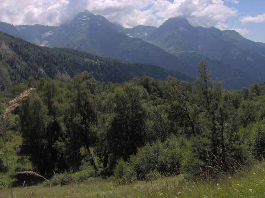 xedi_bubasgan.jpg