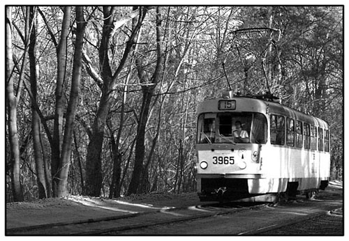 tramvai_1.jpg