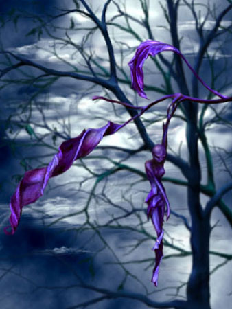 purple_leaf.jpg