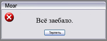 mozg.jpg