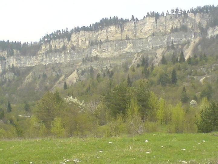 DSC00490.JPG