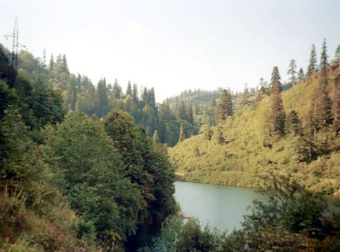 clip_image002.jpg