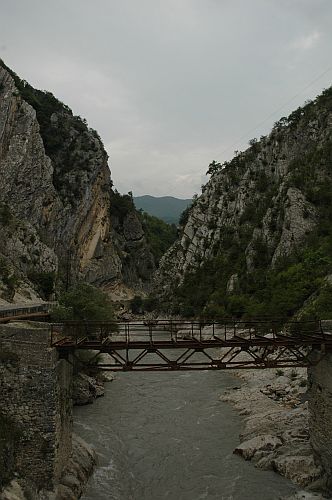 DSC_0331.jpg