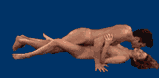 17.gif