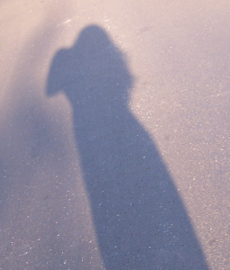 100_2049.gif