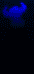 avatar.gif