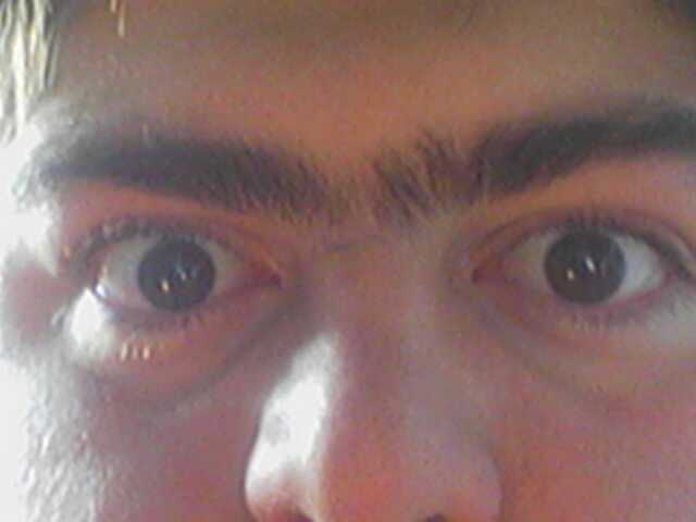 10072006138.jpg