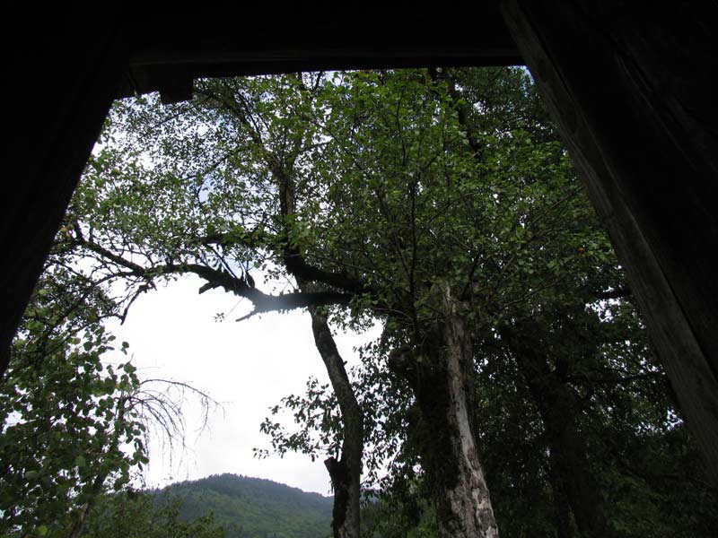 IMG_0005.jpg