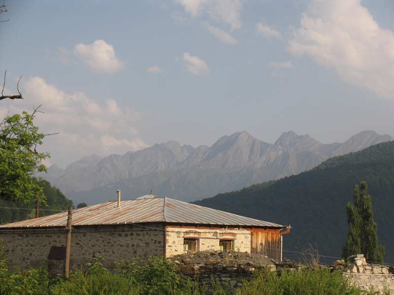 93.jpg