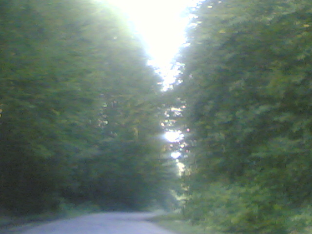 22072006_041_.jpg