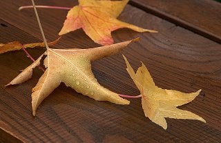 Bild_552.jpg