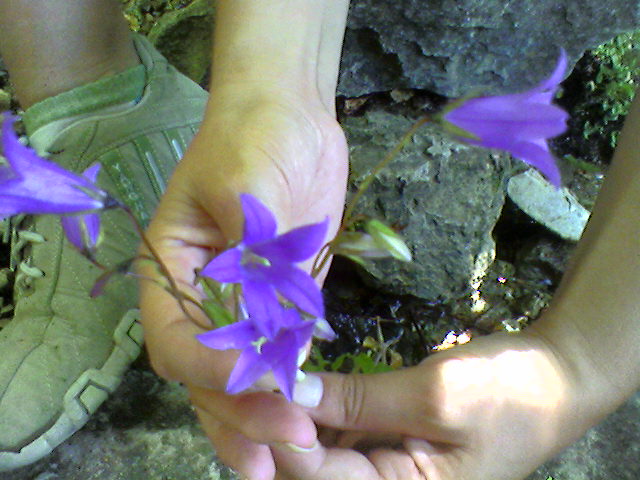 Photo_0286.jpg