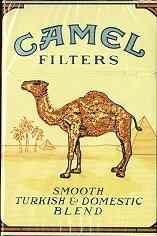 camel_1_.jpg