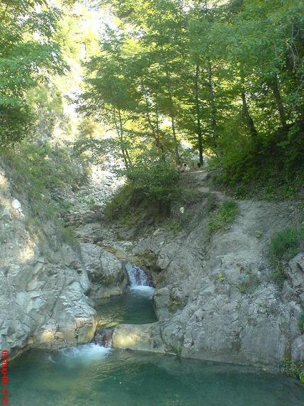 DSC00913.JPG