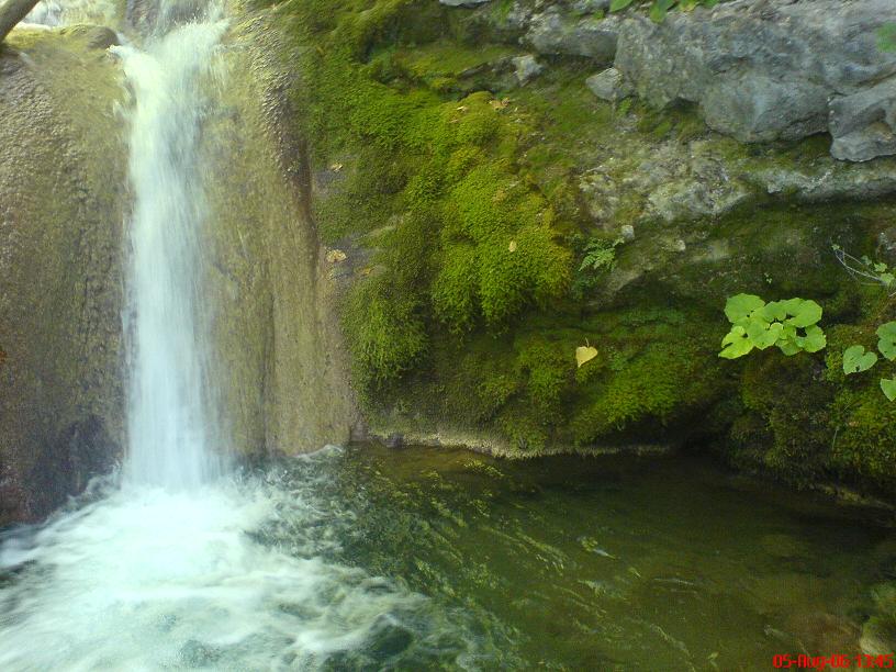 DSC00923.JPG