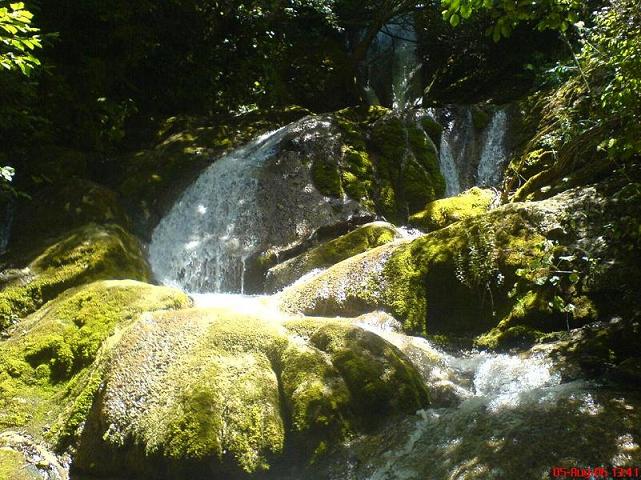 Copy_of_magaria.JPG