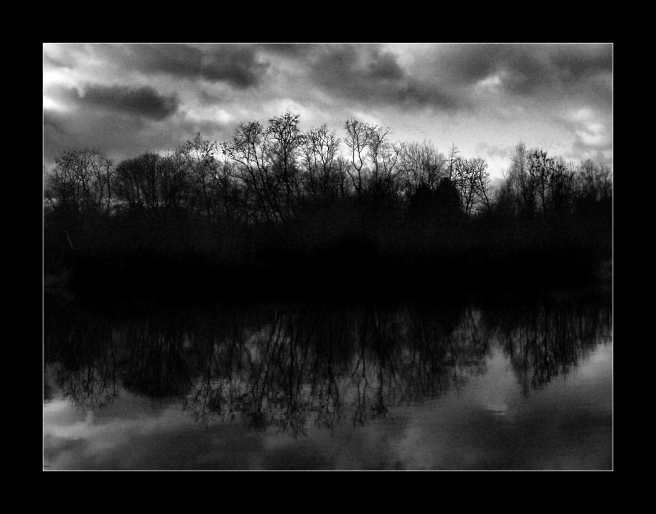 Haunted_Woods_by_Ferruti.jpg