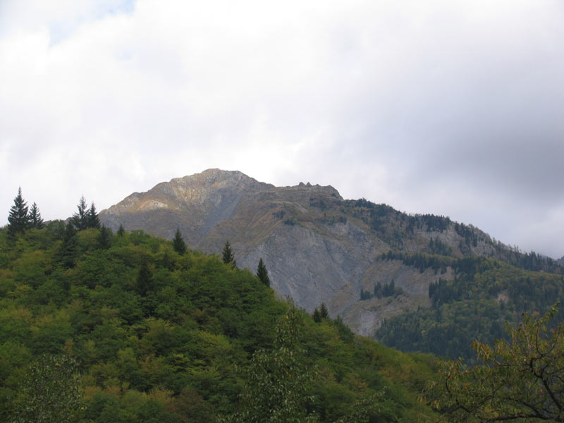 IMG_0087.jpg
