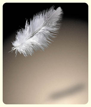 Feather.jpg