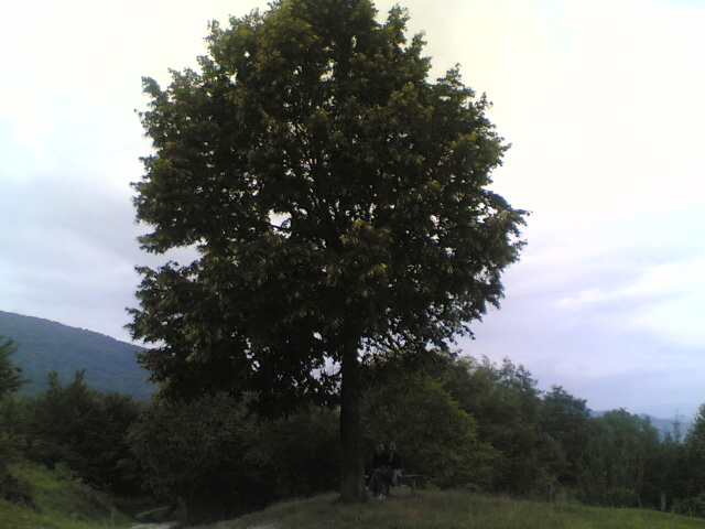 24072006_048_.jpg