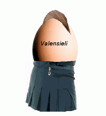 va.gif
