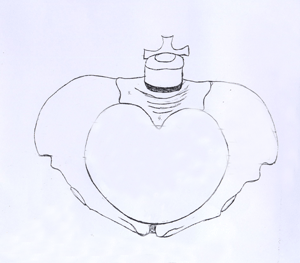 1.gif