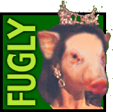 logo.gif