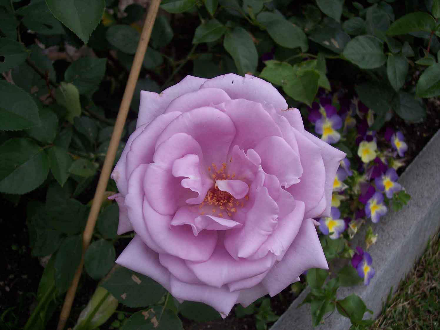 Bild_665.jpg