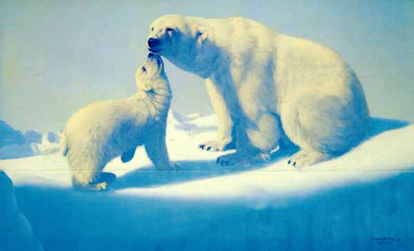 machetanz___tender_arctic.jpg
