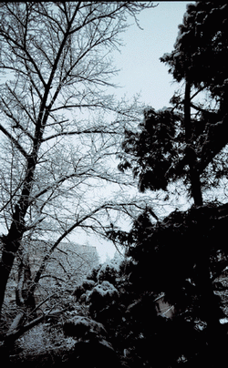 l.gif