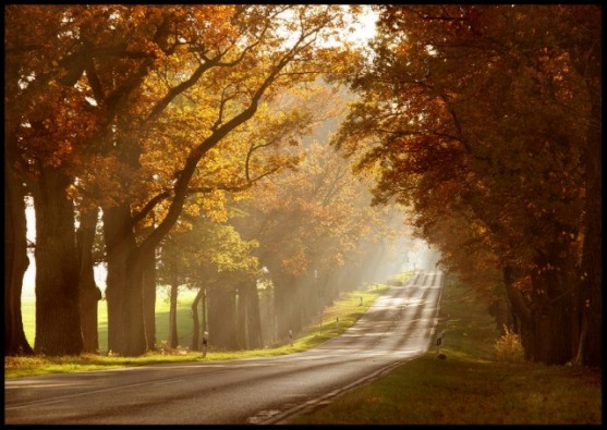 Copy_of_autumn_sun_by_ssilence.jpg