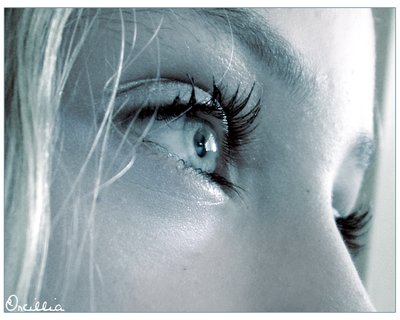 cooool_eyes.jpg
