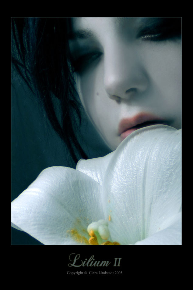 Lilium_II.jpg