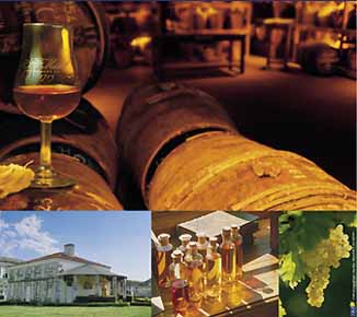 degustation_cognac_visitezmart.jpg