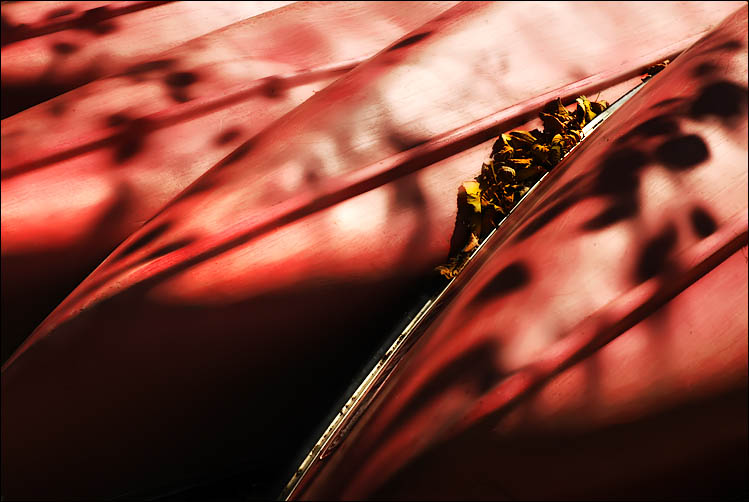 october_canoes.jpg